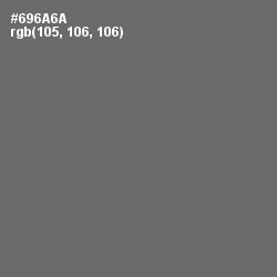 #696A6A - Dove Gray Color Image