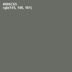 #696C65 - Flint Color Image