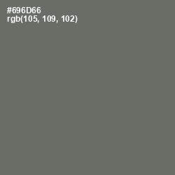 #696D66 - Flint Color Image