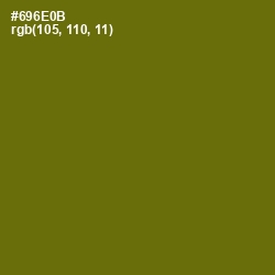 #696E0B - Olivetone Color Image