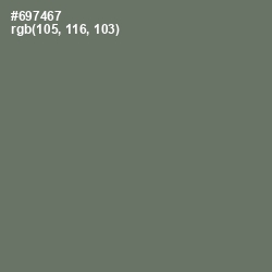 #697467 - Dove Gray Color Image