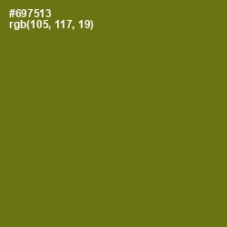 #697513 - Olivetone Color Image
