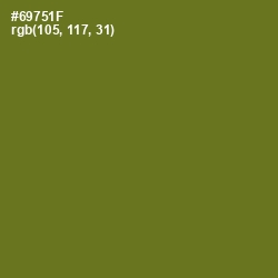 #69751F - Olivetone Color Image