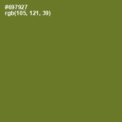 #697927 - Fern Frond Color Image