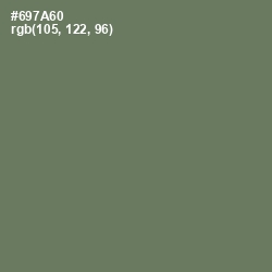 #697A60 - Limed Ash Color Image