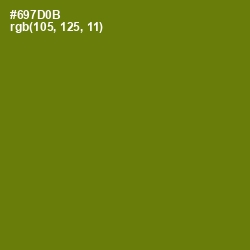 #697D0B - Olivetone Color Image