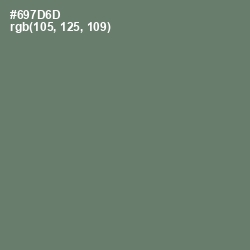 #697D6D - Limed Ash Color Image