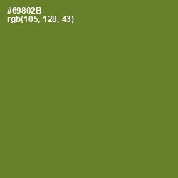 #69802B - Olive Drab Color Image