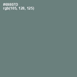 #69807D - Viridian Green Color Image