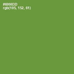 #69983D - Olive Drab Color Image