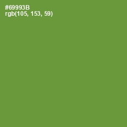#69993B - Olive Drab Color Image
