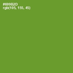 #699B2D - Olive Drab Color Image