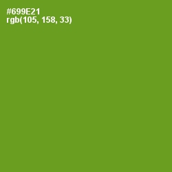 #699E21 - Olive Drab Color Image