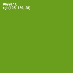 #699F1C - Limeade Color Image