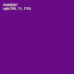 #6A0B87 - Purple Color Image