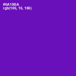 #6A10BA - Purple Color Image