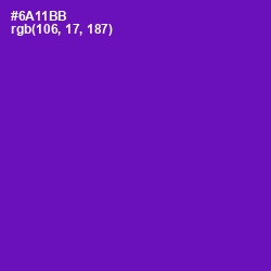 #6A11BB - Purple Color Image