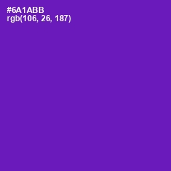 #6A1ABB - Purple Color Image