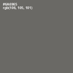 #6A6965 - Flint Color Image