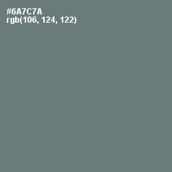 #6A7C7A - Nevada Color Image