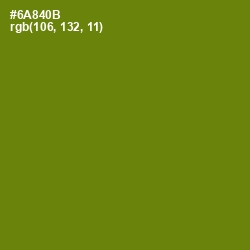 #6A840B - Trendy Green Color Image