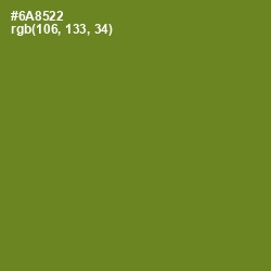 #6A8522 - Olive Drab Color Image