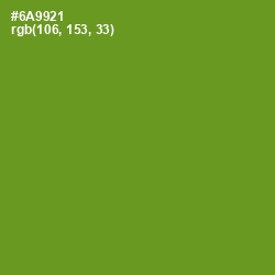 #6A9921 - Olive Drab Color Image