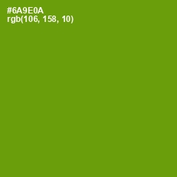 #6A9E0A - Limeade Color Image