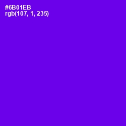 #6B01EB - Purple Heart Color Image