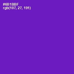 #6B1BBF - Purple Color Image