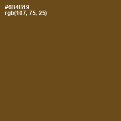 #6B4B19 - Horses Neck Color Image