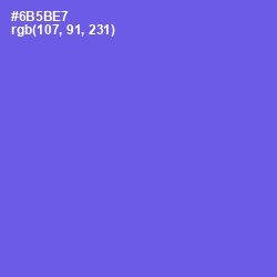 #6B5BE7 - Blue Marguerite Color Image