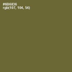 #6B6836 - Yellow Metal Color Image