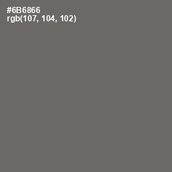 #6B6866 - Flint Color Image