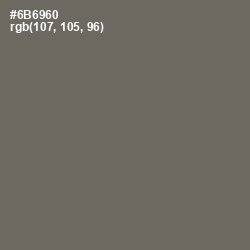 #6B6960 - Flint Color Image