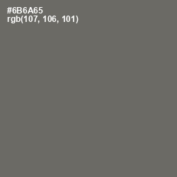#6B6A65 - Flint Color Image