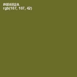 #6B6B2A - Fern Frond Color Image