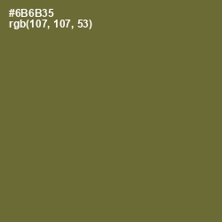 #6B6B35 - Yellow Metal Color Image