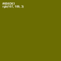 #6B6D03 - Olivetone Color Image