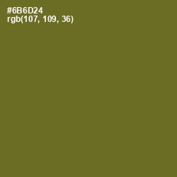 #6B6D24 - Fern Frond Color Image
