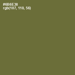 #6B6E38 - Yellow Metal Color Image