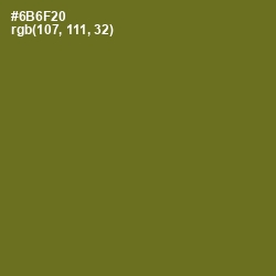 #6B6F20 - Fern Frond Color Image