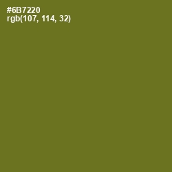 #6B7220 - Fern Frond Color Image