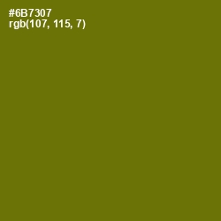 #6B7307 - Olivetone Color Image