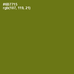 #6B7715 - Olivetone Color Image