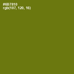 #6B7810 - Olivetone Color Image