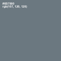 #6B7880 - Pale Sky Color Image