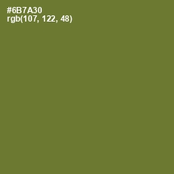 #6B7A30 - Crete Color Image