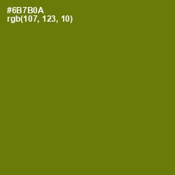 #6B7B0A - Olivetone Color Image