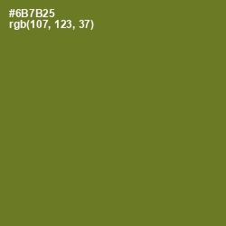 #6B7B25 - Fern Frond Color Image